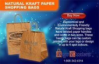 Bags Etcetera Paper Bags Manufacturing Natural Kraft Shopping Bags